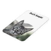 Schattige verraste kat met bril magneet (Linkerzijde)