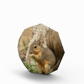 Schattige vierkant glasdesk art fotoblokken (Rechts)