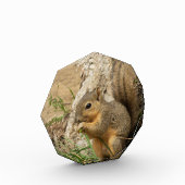 Schattige vierkant glasdesk art fotoblokken (Links)