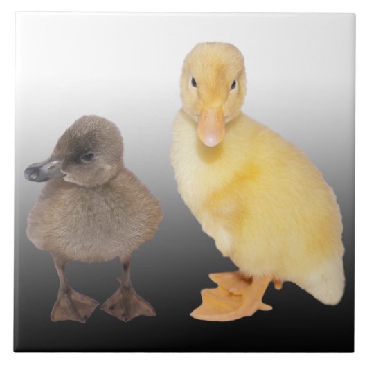 Schattige vingerafdrukken Foto Tegeltje (Voorkant)