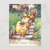 Schattige vintage paaskuikens briefkaart (Voorkant)
