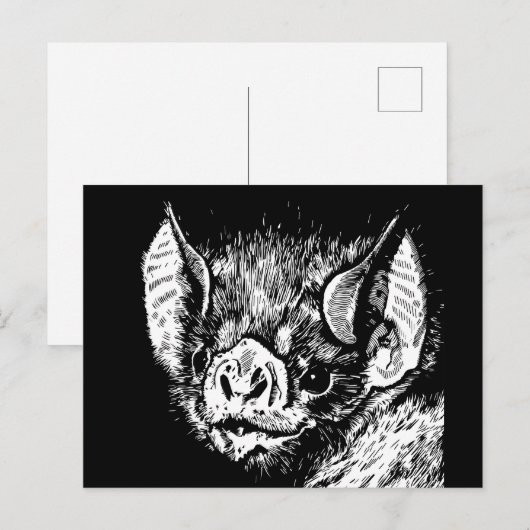Schattige vleermuisgezicht. Grafiek, tekening. Briefkaart (Voorkant / Achterkant)