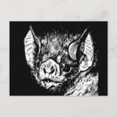 Schattige vleermuisgezicht. Grafiek, tekening. Briefkaart (Voorkant)