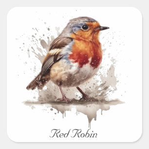 Schattige vogelrood robin aanpasbaar vierkante sticker