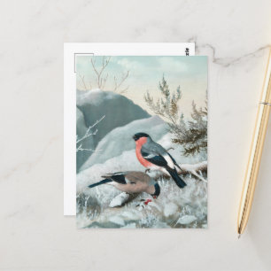Schattige vogeltje- Bullfinch, Kunst Briefkaart