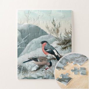Schattige vogeltje- Bullfinch, Kunst Legpuzzel