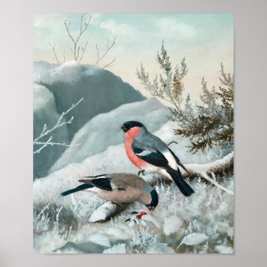 Schattige vogeltje- Bullfinch, Kunst Poster (Voorkant)