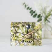 Schattige vogeltje Happy Easter Briefkaart (Staand voorkant)