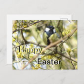 Schattige vogeltje Happy Easter Briefkaart (Voorkant / Achterkant)