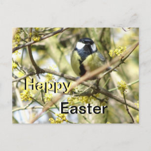 Schattige vogeltje Happy Easter Briefkaart