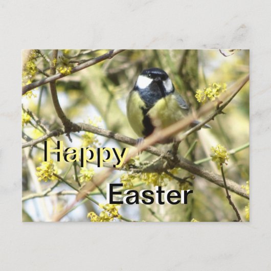 Schattige vogeltje Happy Easter Briefkaart (Voorkant)