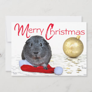 Schattige vrolijke kerst cavia gouden ornament feestdagenkaart