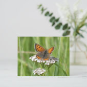 Schattige Vuurvlinder DIY Briefkaart (Staand voorkant)