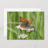 Schattige Vuurvlinder DIY Briefkaart (Voorkant / Achterkant)