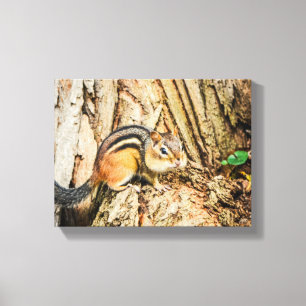 Schattige Wangzanger Natuur Dieren Natuur Canvas Afdruk
