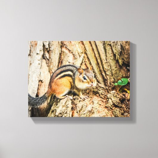 Schattige Wangzangers Wilde Dieren Natuur Canvas Afdruk (Voorkant)