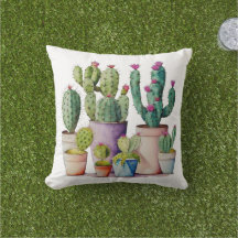 Schattige waterverf cactussen succulenten in potte