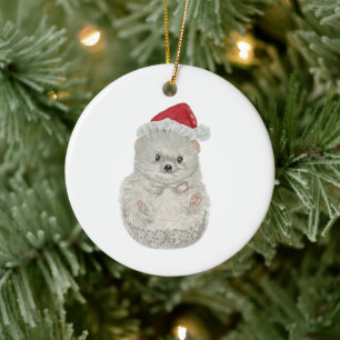 Schattige Waterverf Egel kerstversiering Keramisch Ornament