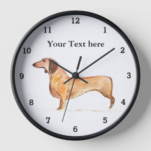 Schattige Weener Dachshund Hond Puppy Dier Huisdie
