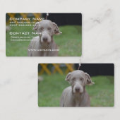 Schattige Weimaraner Visitekaartje (Voorkant / Achterkant)