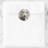 Schattige weimarantaat ronde sticker (Tas)