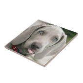 Schattige weimarantaat tegeltje (Zijkant)