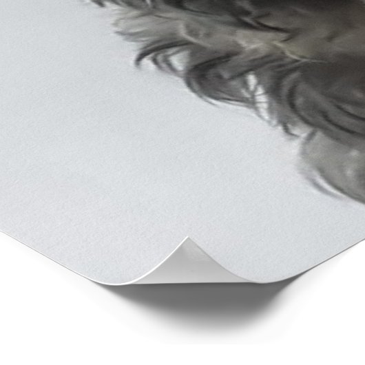 Schattige West Highland White Terrier in Bath Poster (Hoek)