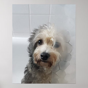 Schattige West Highland White Terrier in Bath Poster