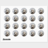 Schattige West Highland White Terrier in Bath Ronde Sticker (Vel)