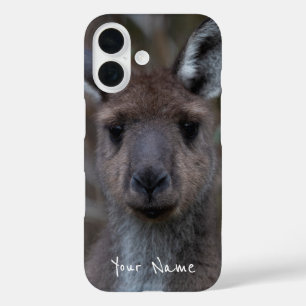 Schattige Western Grijs Kangaroo Gezicht Close-up iPhone 16 Hoesje