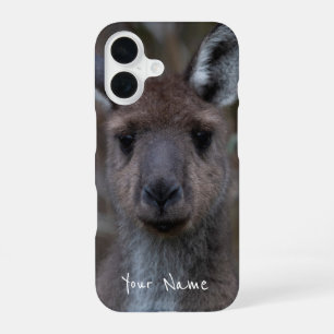 Schattige Western Grijs Kangaroo Gezicht Close-up iPhone 16 Hoesje