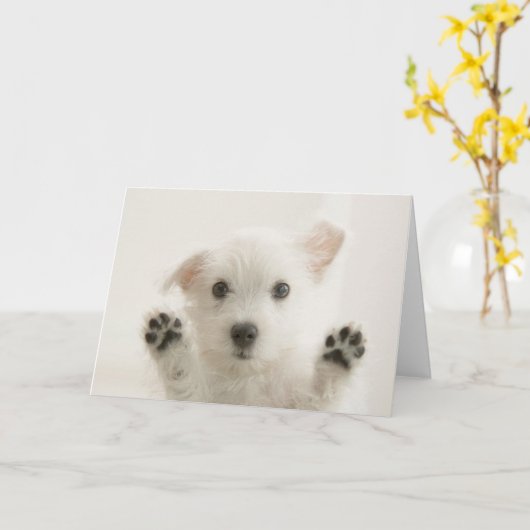 Schattige Westie Pup Kaart (Gele Bloem)