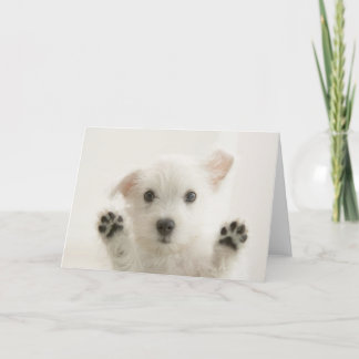 Schattige Westie Pup Kaart