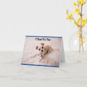 Schattige White Dog Verjaardag Wenskaart Kaart (Gele Bloem)