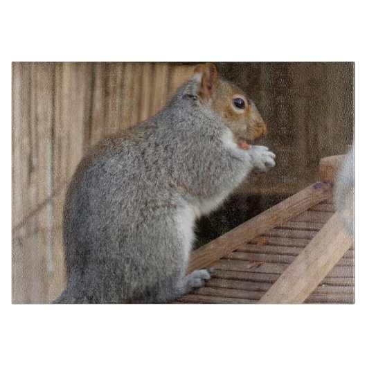 Schattige Wilde Eekhoorn Close-up Snijplank (Voorkant)