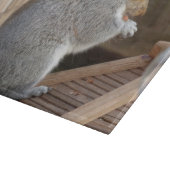 Schattige Wilde Eekhoorn Close-up Snijplank (Hoek)