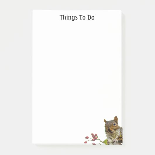 Schattige Wilde Eekhoorn Dingen Om Te Doen Post-it® Notes (Voorkant)