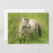 Schattige Wilde Paard DIY Briefkaart (Voorkant / Achterkant)