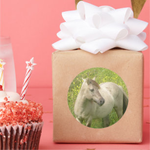 Schattige Wilde Paard Ronde Sticker