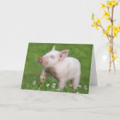 Schattige wit biggetje ruikt een bloem kaart (Gele Bloem)