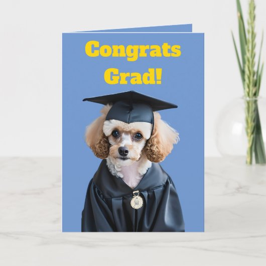 Schattige Wit en Bruin Poodle Afstuderen Kaart (Voorkant)