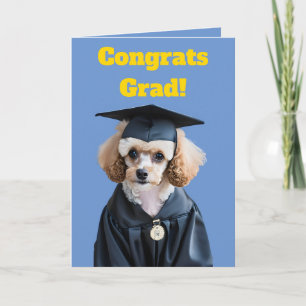 Schattige Wit en Bruin Poodle Afstuderen Kaart