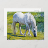 Schattige wit paard, Claude Monet stijl Briefkaart (Voorkant / Achterkant)