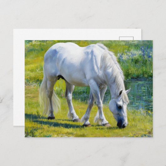 Schattige wit paard, Claude Monet stijl Briefkaart (Voorkant / Achterkant)