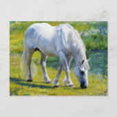 Schattige wit paard, Claude Monet stijl Briefkaart (Voorkant)