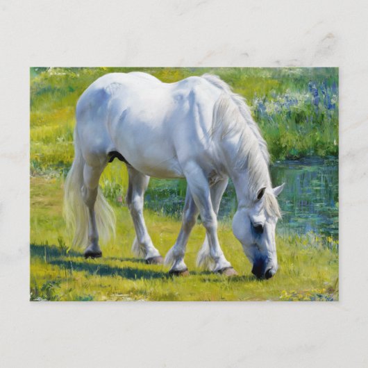 Schattige wit paard, Claude Monet stijl Briefkaart (Voorkant)
