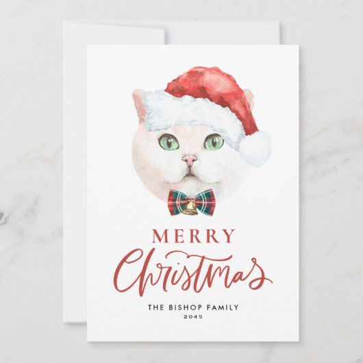 Schattige Witte Britse Korthaar Kat Kerstman Kerst Feestdagenkaart (Voorkant)