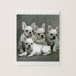 Schattige witte bulgdogs legpuzzel