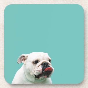 Schattige witte Bulldog hond Bier Onderzetter