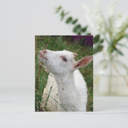 Schattige witte geit briefkaart (Staand voorkant)